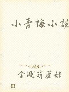 小青梅小说