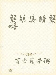 系统集精系统高嗨封面