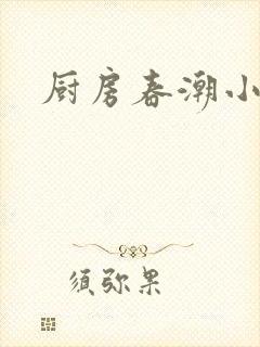 厨房春潮小说封面