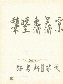赵晓东吴雪晴郑伟王潇潇小说封面