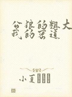 公狼的粗大挺进我的密道