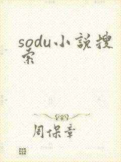 sodu小说搜索