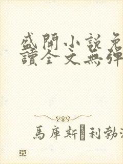 盛开小说免费阅读全文无弹窗