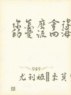 你怎么舍得让我的爱流向海