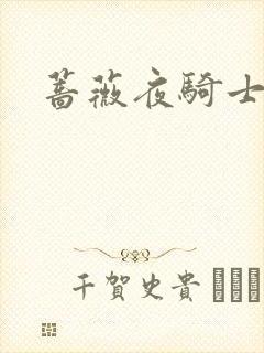 蔷薇夜骑士封面