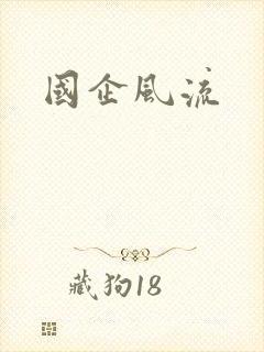 国企风流