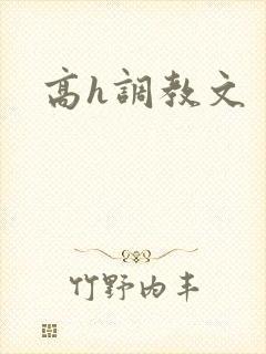 高h调教文封面