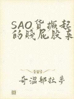 SAO货撅起你的贱屁股来