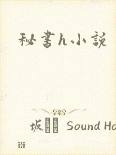 秘书h小说