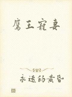 鹰王宠妻