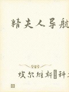 精夫人导航