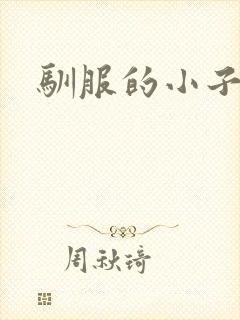 驯服的小子4