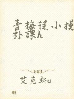 青梅从小摸到大补课h封面