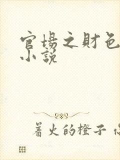 官场之财色诱人小说