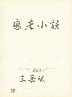 恋老小说
