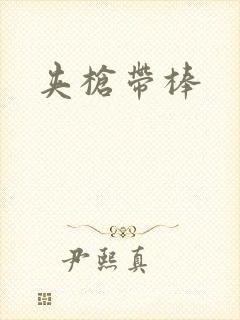 夹枪带棒封面