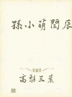 孙小萌闫辰