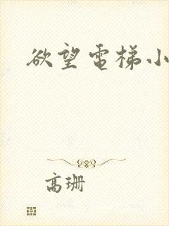 欲望电梯小说