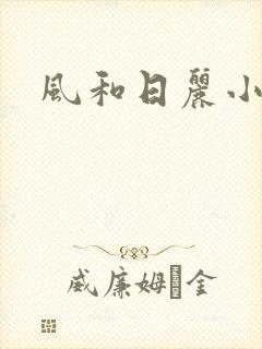 风和日丽小说