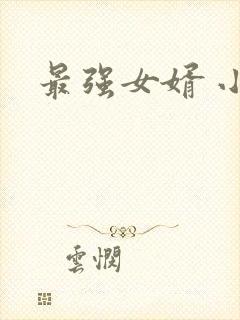 最强女婿 小说