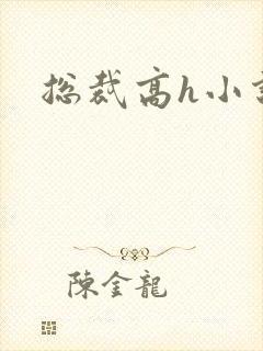 总裁高h小说