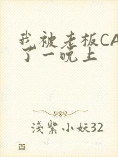 我被老板CAO了一晚上