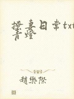 撩妻日常txt青灯封面