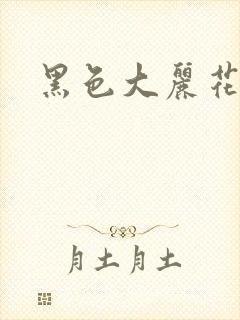 黑色大丽花图片