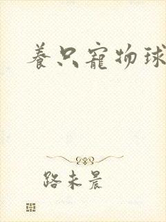 养只宠物球
