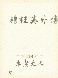 穆桂英外传