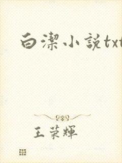 白洁小说txt
