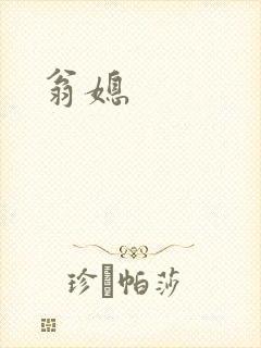 翁媳封面