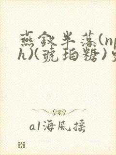 燕钗半落(nph)(琥珀糖)更新
