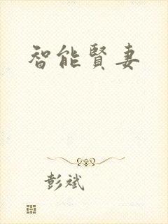 智能贤妻