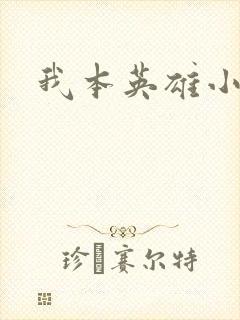 我本英雄小说