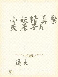 小妖精真紧h嘶爽老子h封面