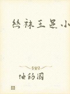丝袜玉足小说