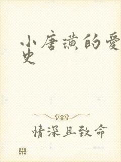 小唐璜的爱情历史