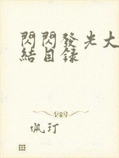 闪闪发光大团圆结目录封面