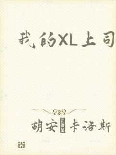我的XL上司
