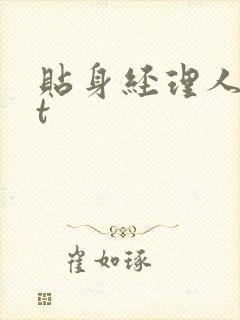 贴身经理人txt