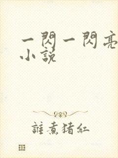 一闪一闪亮星星小说封面