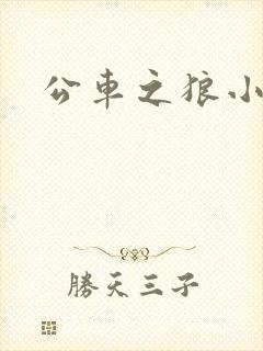 公车之狼小说