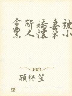 会所娇妻被多个黑人怀孕小说封面