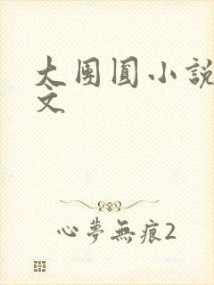 大团圆小说集全文