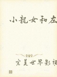 小龙女和左剑清封面