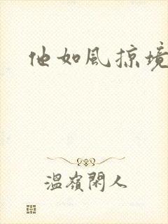 他如风掠境封面