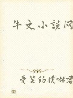 牛文小说网