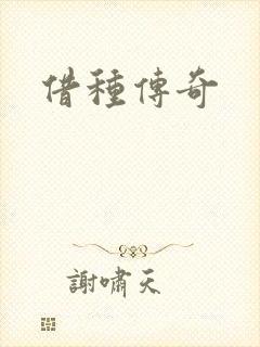 借种传奇封面