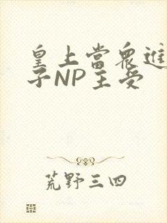 皇上当众进入太子NP主受